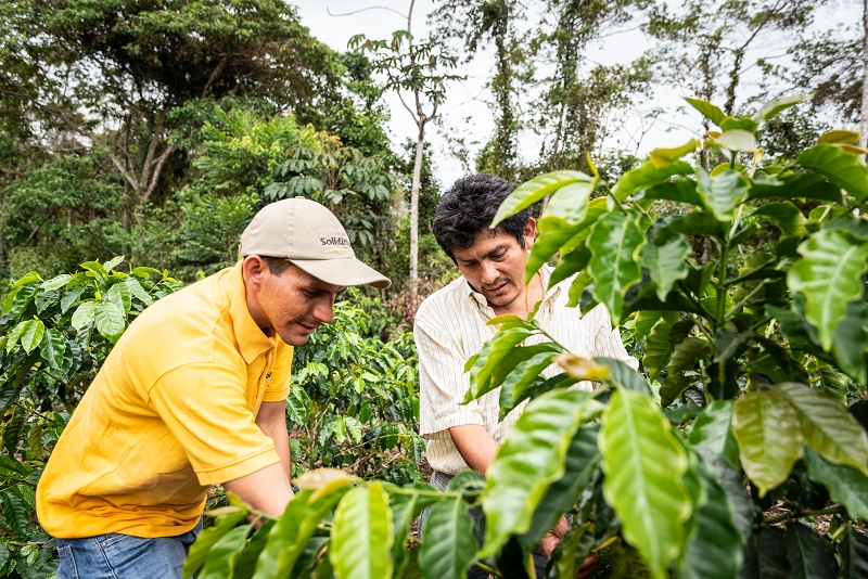 Im Rahmen von Public-Private Partnerships setzt sich Solidaridad für entwaldungsfreie Lieferketten ein, auf dem Foto sind ein Solidaridad-Mitarbeiter und ein Kaffeebauer auf einer Kaffeefarm in Moyobamba, Peru, zu sehen.