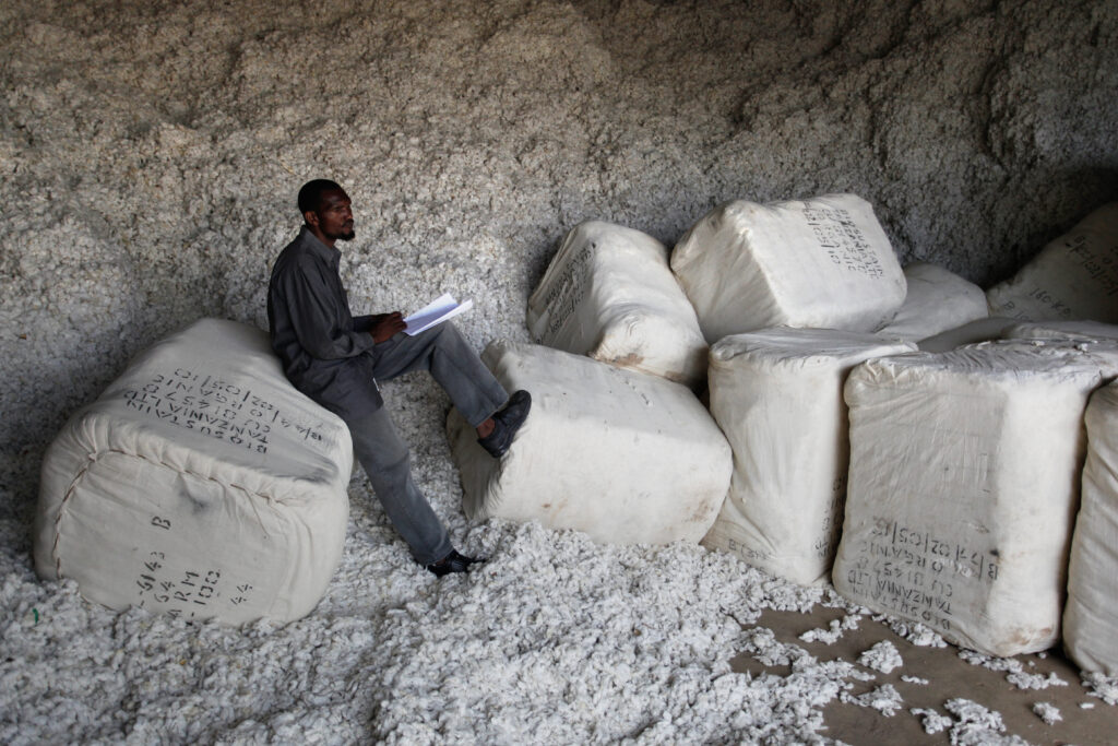 Ein Aufseher sitzt zwischen Baumwollballen in einer Baumwollentkernungsanlage in Tansania und macht Notizen zur Weiterverladung.