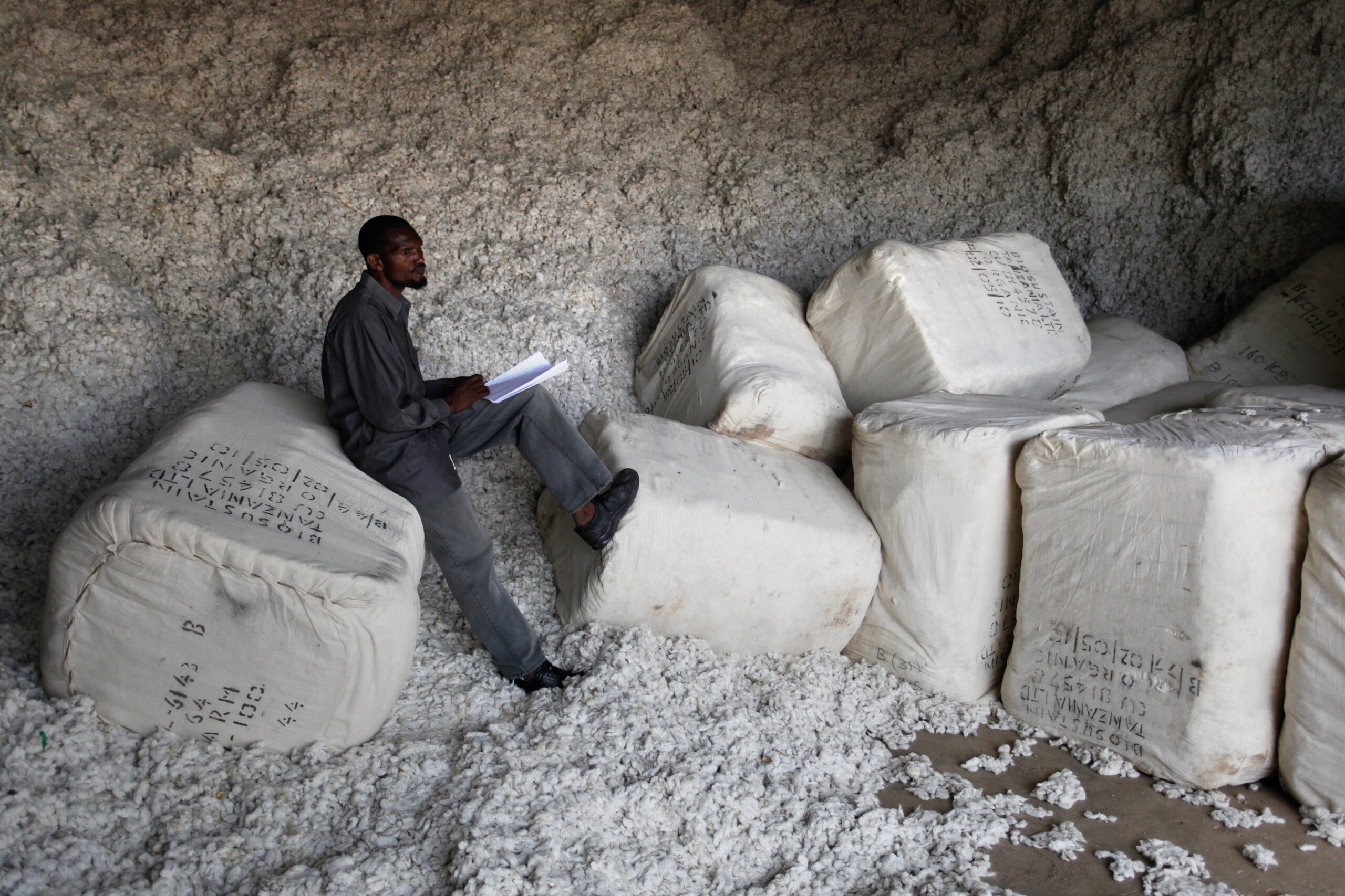 Ein Aufseher sitzt zwischen Baumwollballen in einer Baumwollentkernungsanlage in Tansania und macht Notizen zur Weiterverladung.