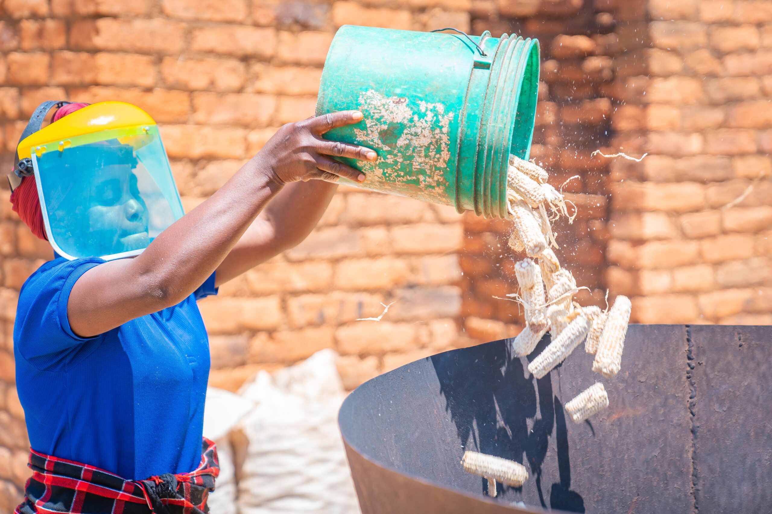 Eine Farmerin wirft Maiskolben (Biomasse) in einen Metall-Kiln