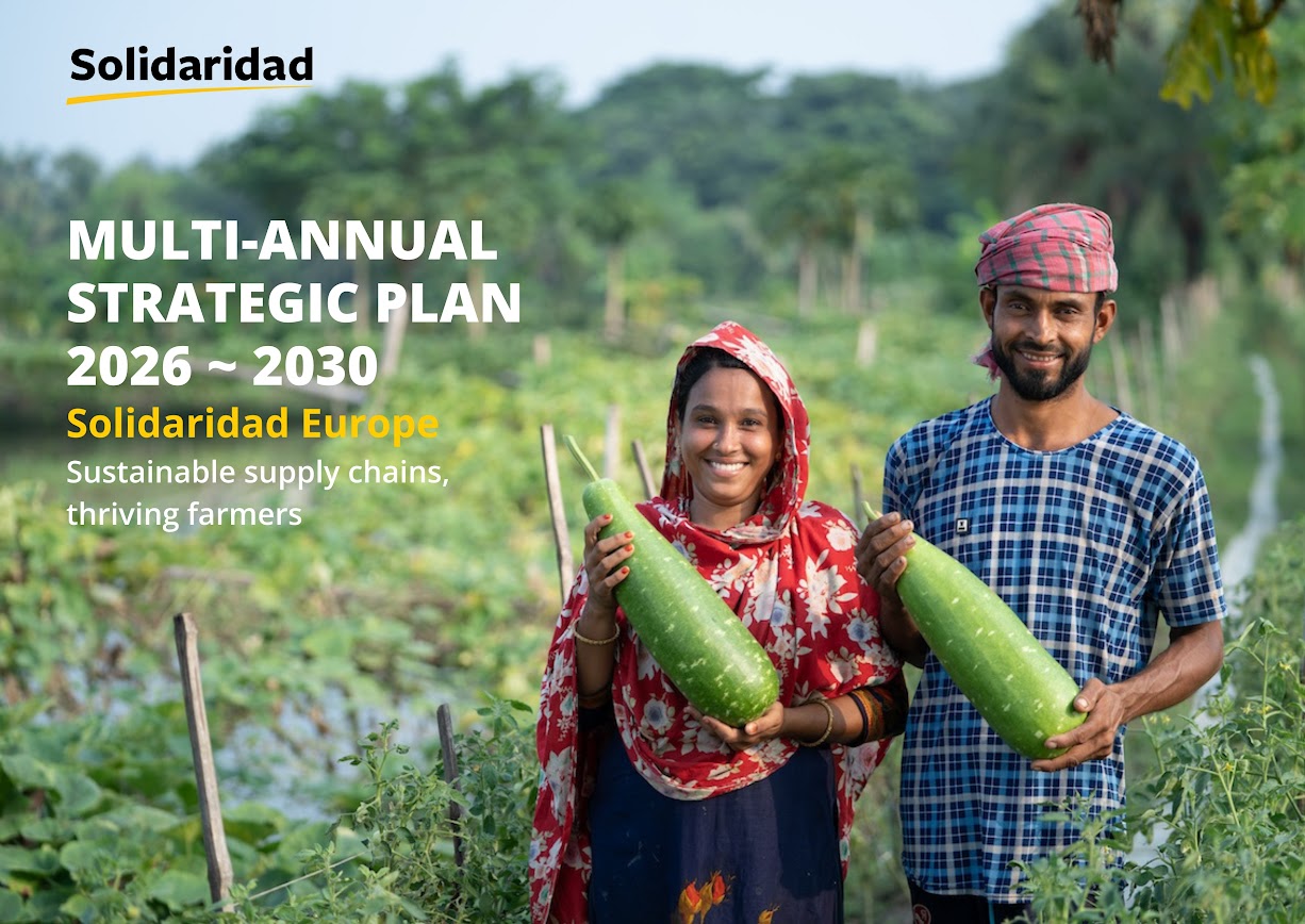 Strategie Solidaridad 2026-2030